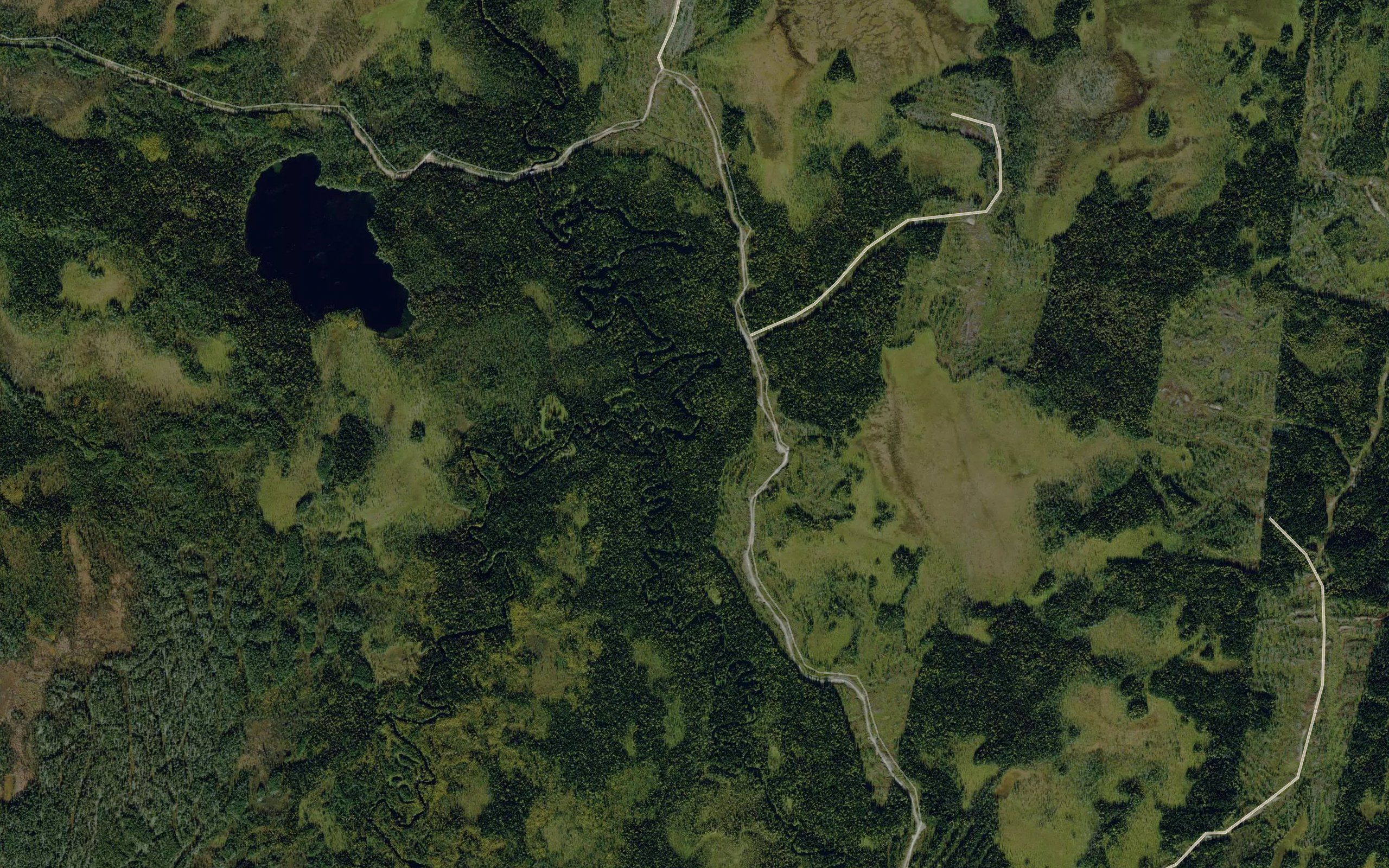 Obednichnaya