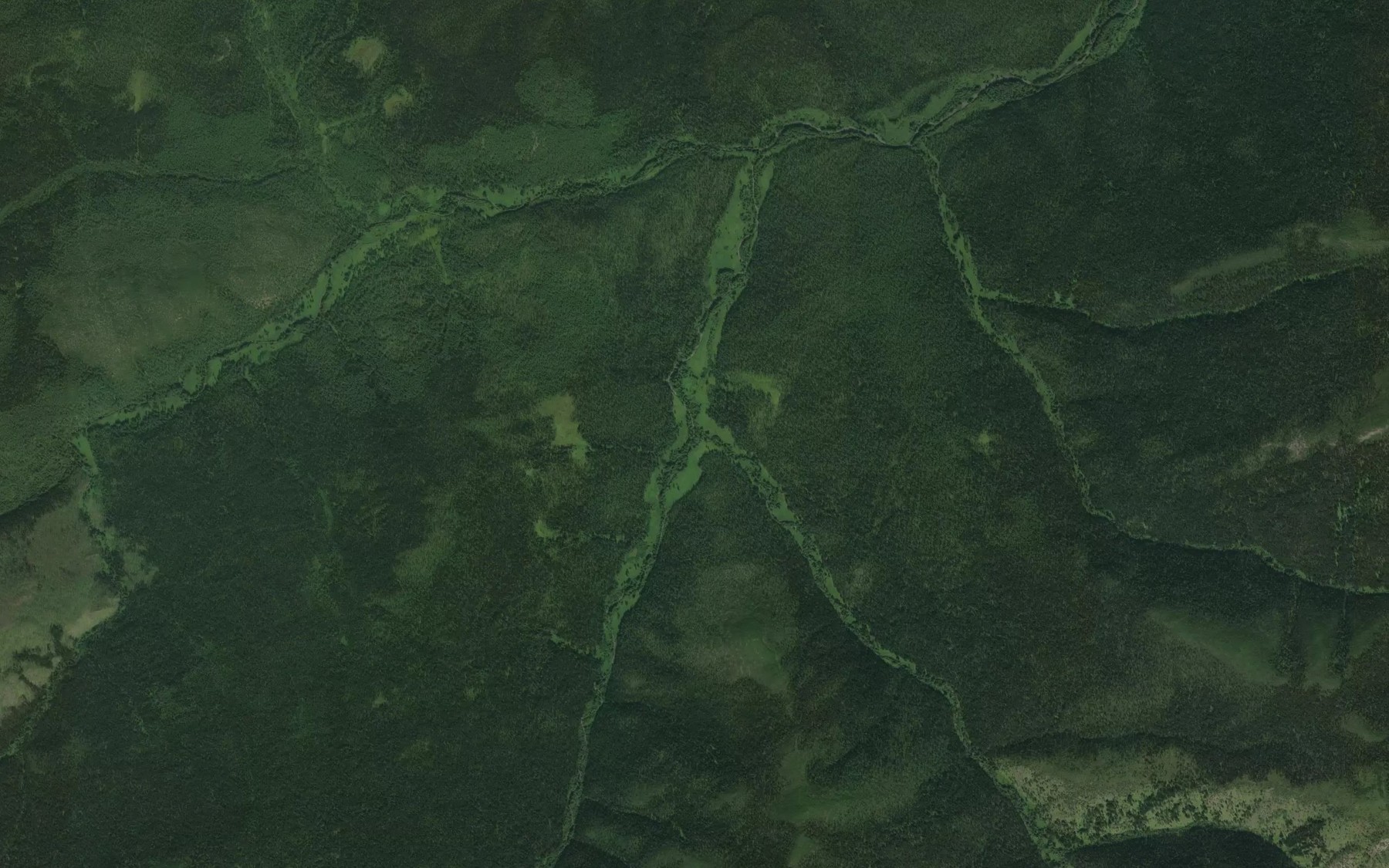 Satellite map of the Zverinyy