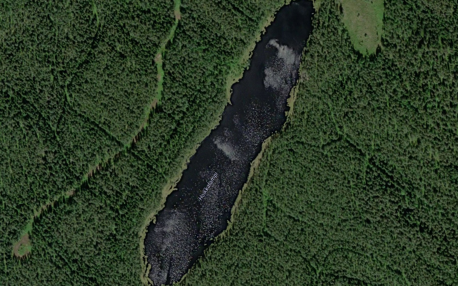 Satellite map of the Hoikkalampi