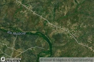 Nacuca