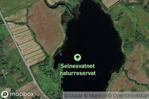 Selnesvatnet