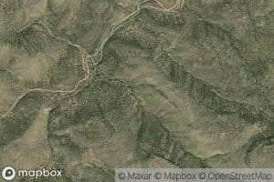 Bosque Spring