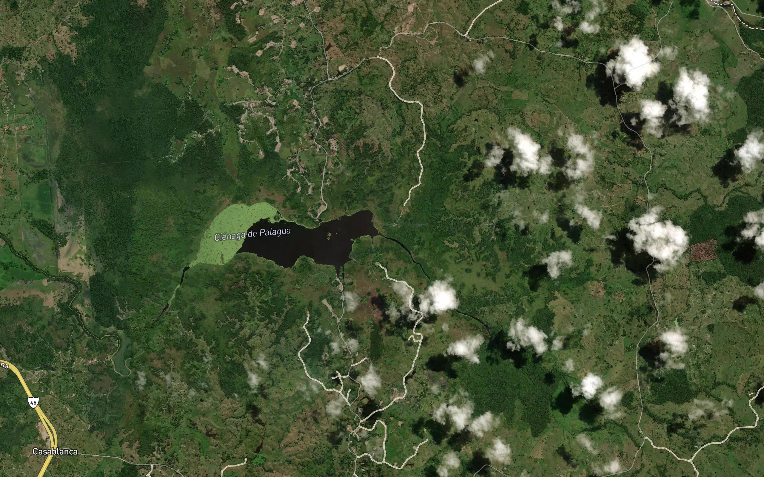 Quebrada Palagua