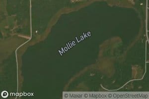 Mollie Lake