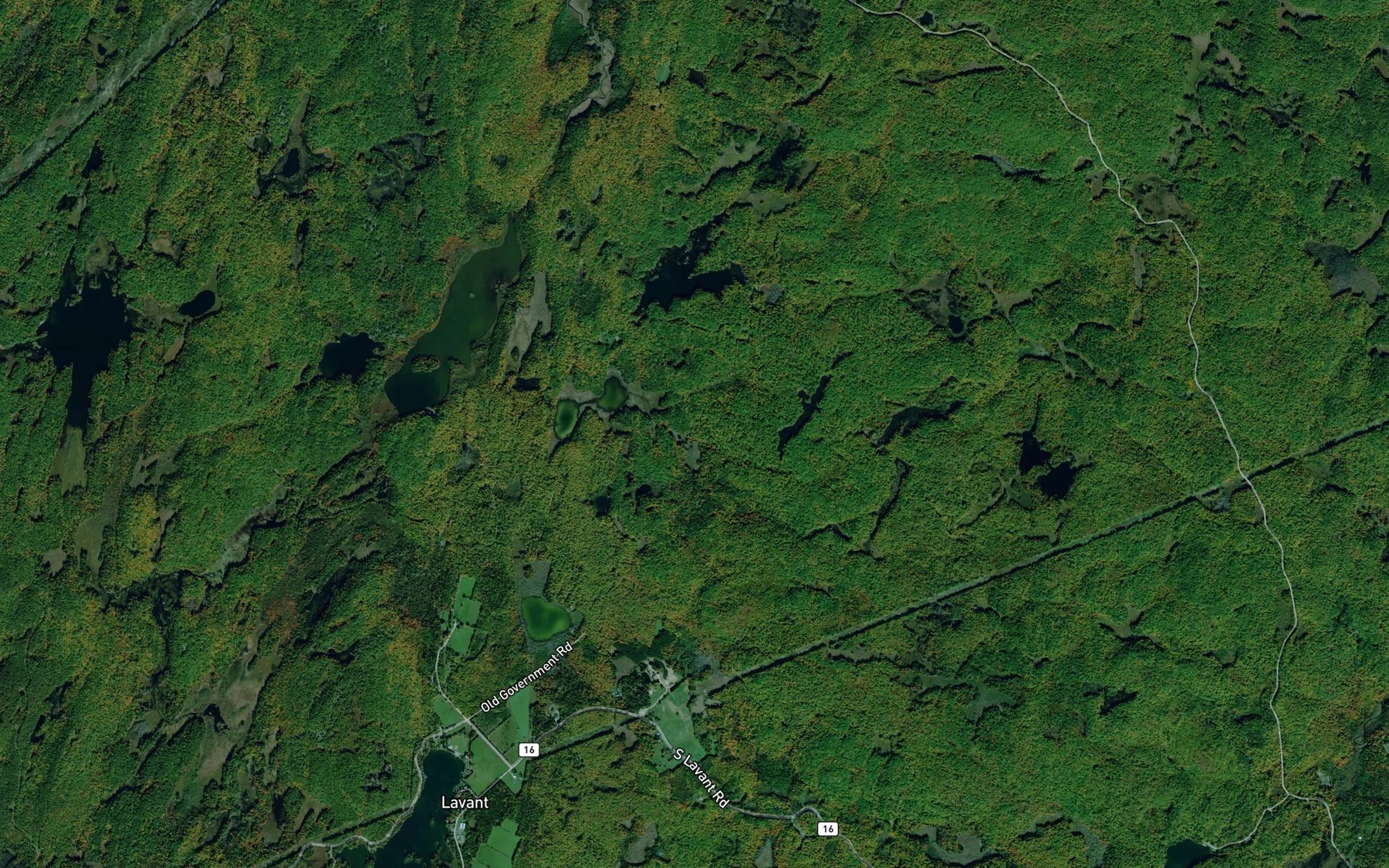 Satellite map of the Nelson Lakes