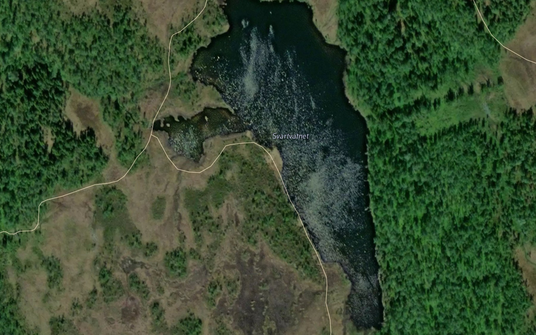 Satellite map of the Svartvatnet