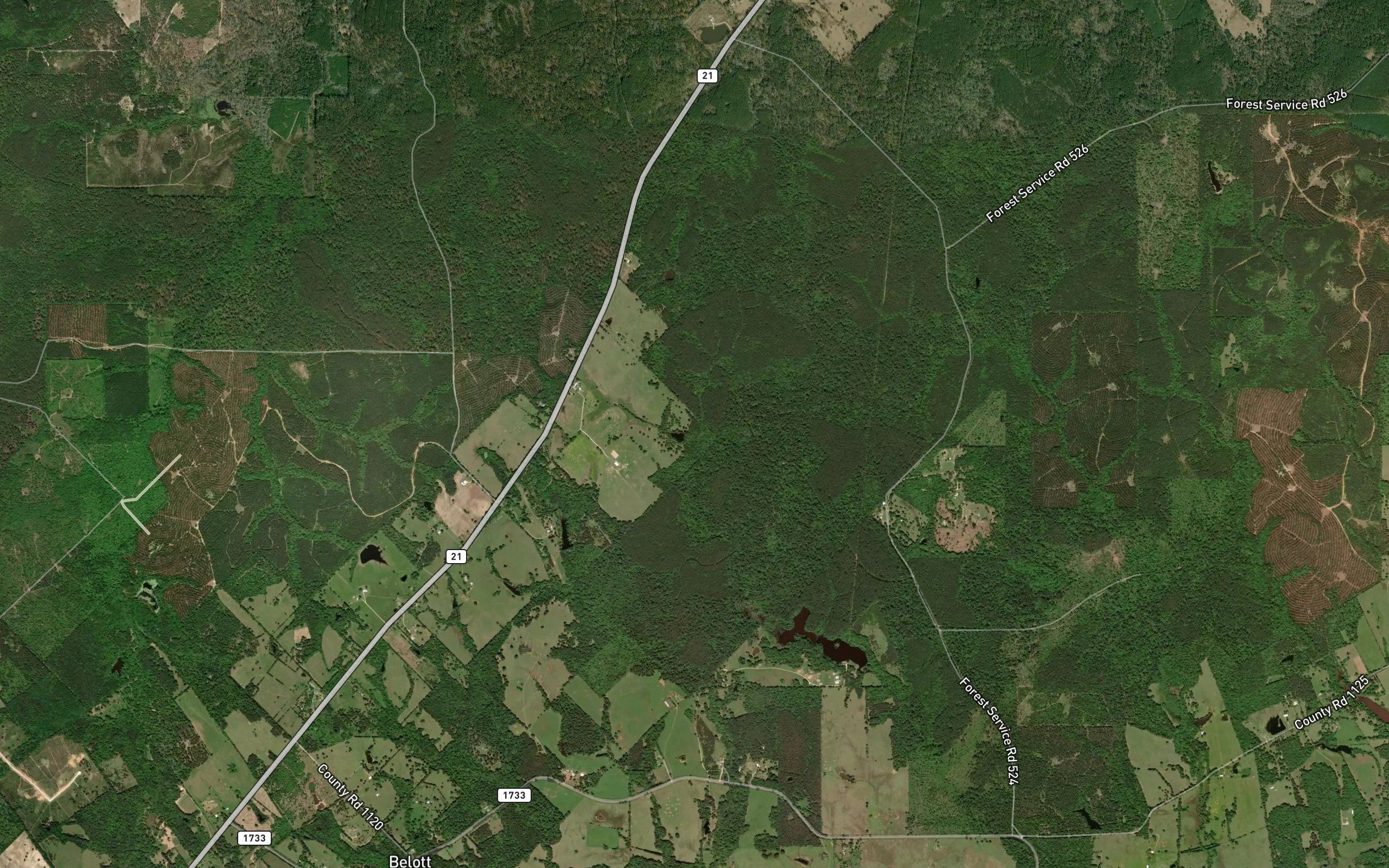 Ferrell Branch Spring