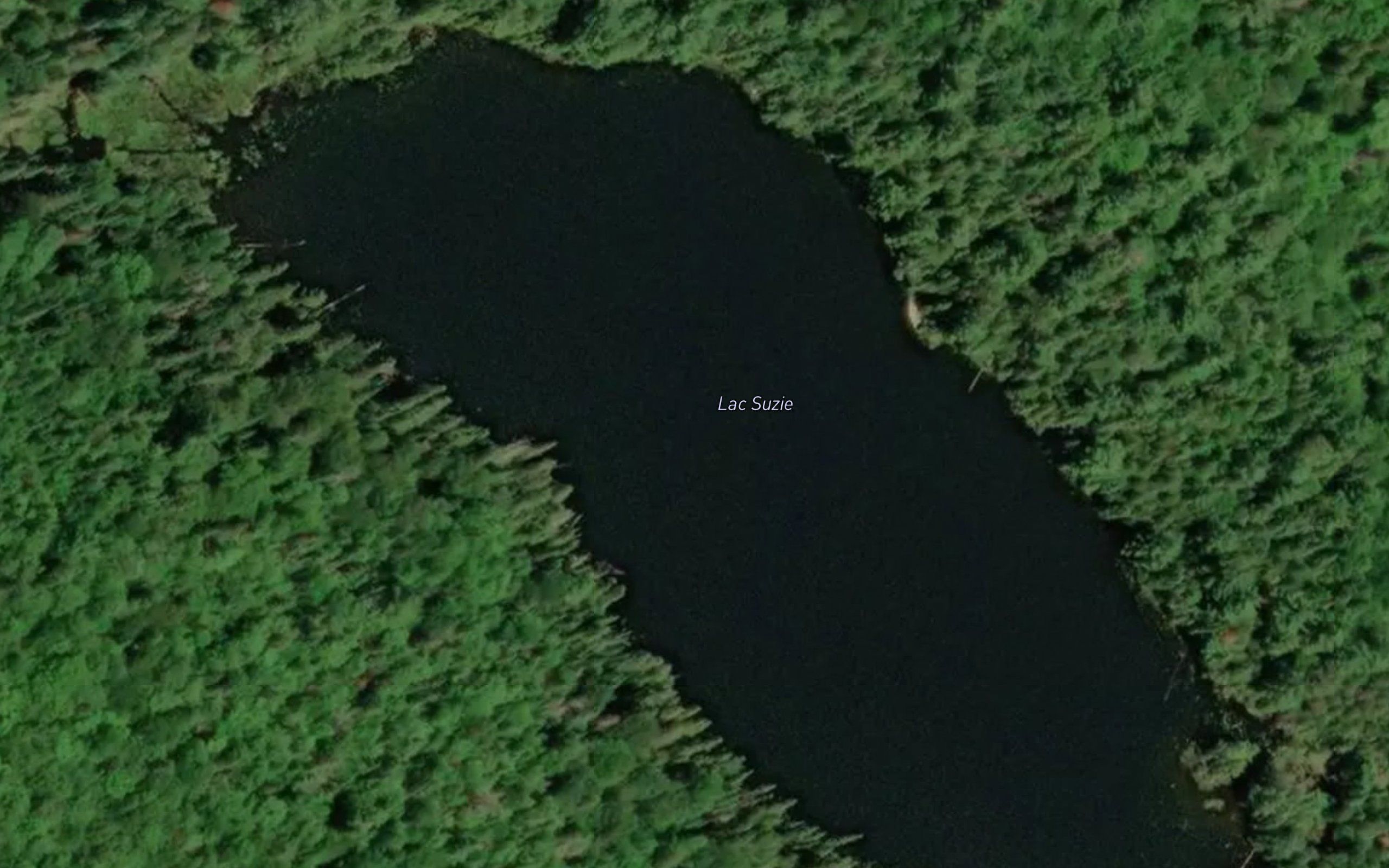 Lac Suzie