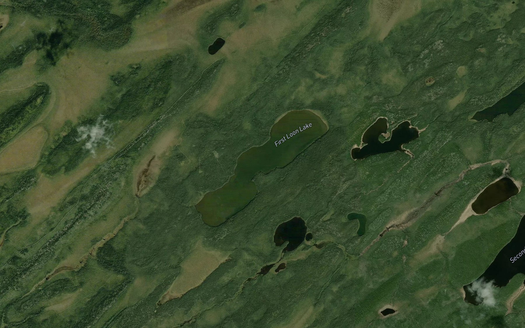 Satellite map of the First Loon Lake