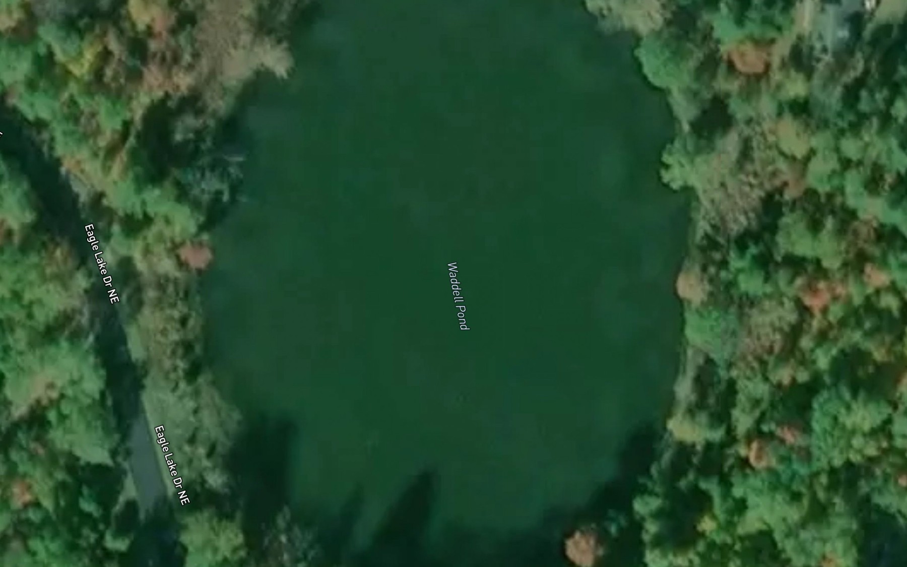 Satellite map of the Waddell Pond