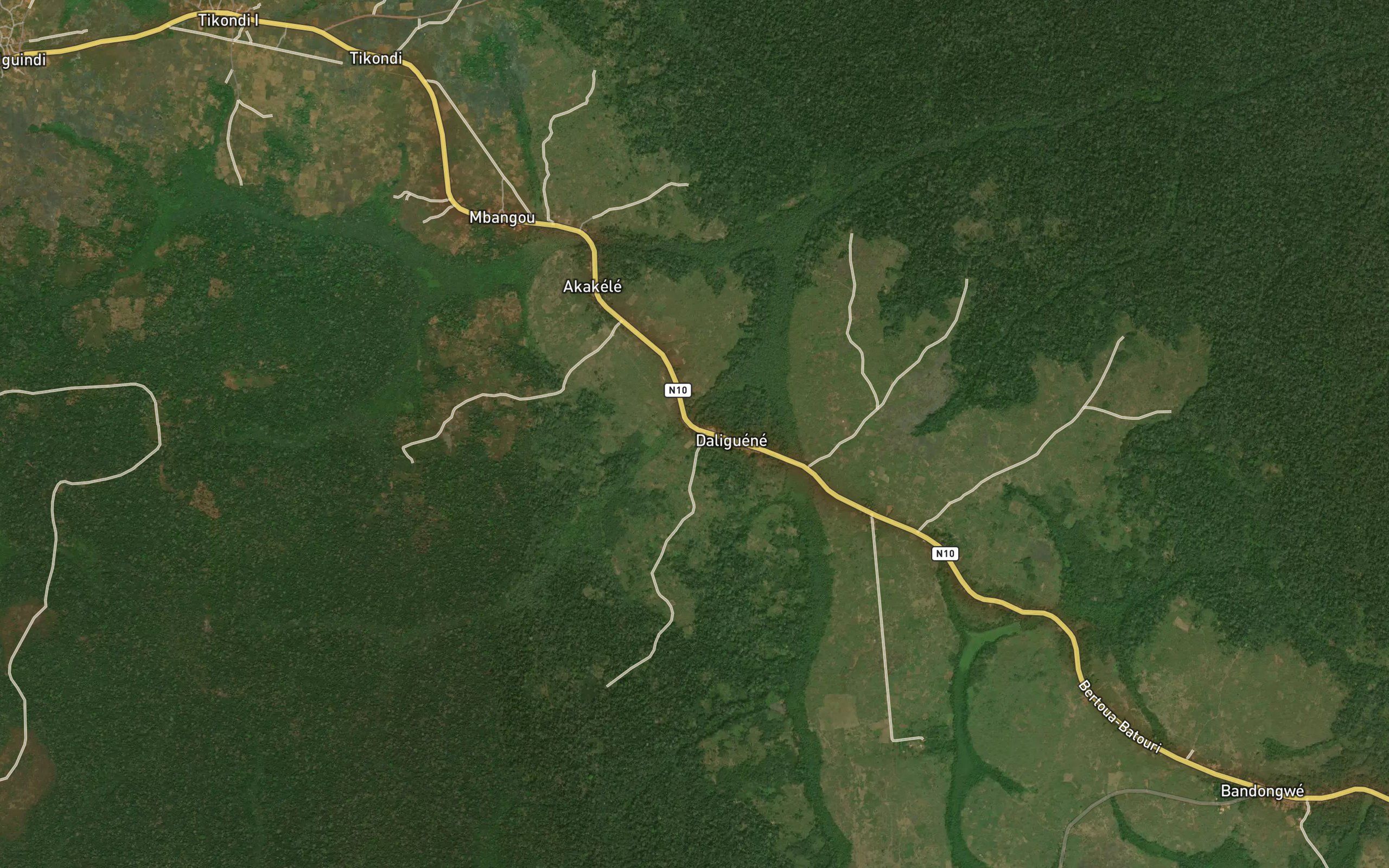 Mbongo