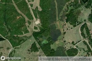 Needham Marsh Branch