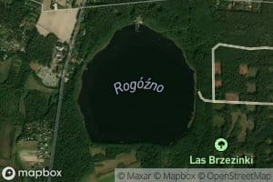 Jezioro Rogozno