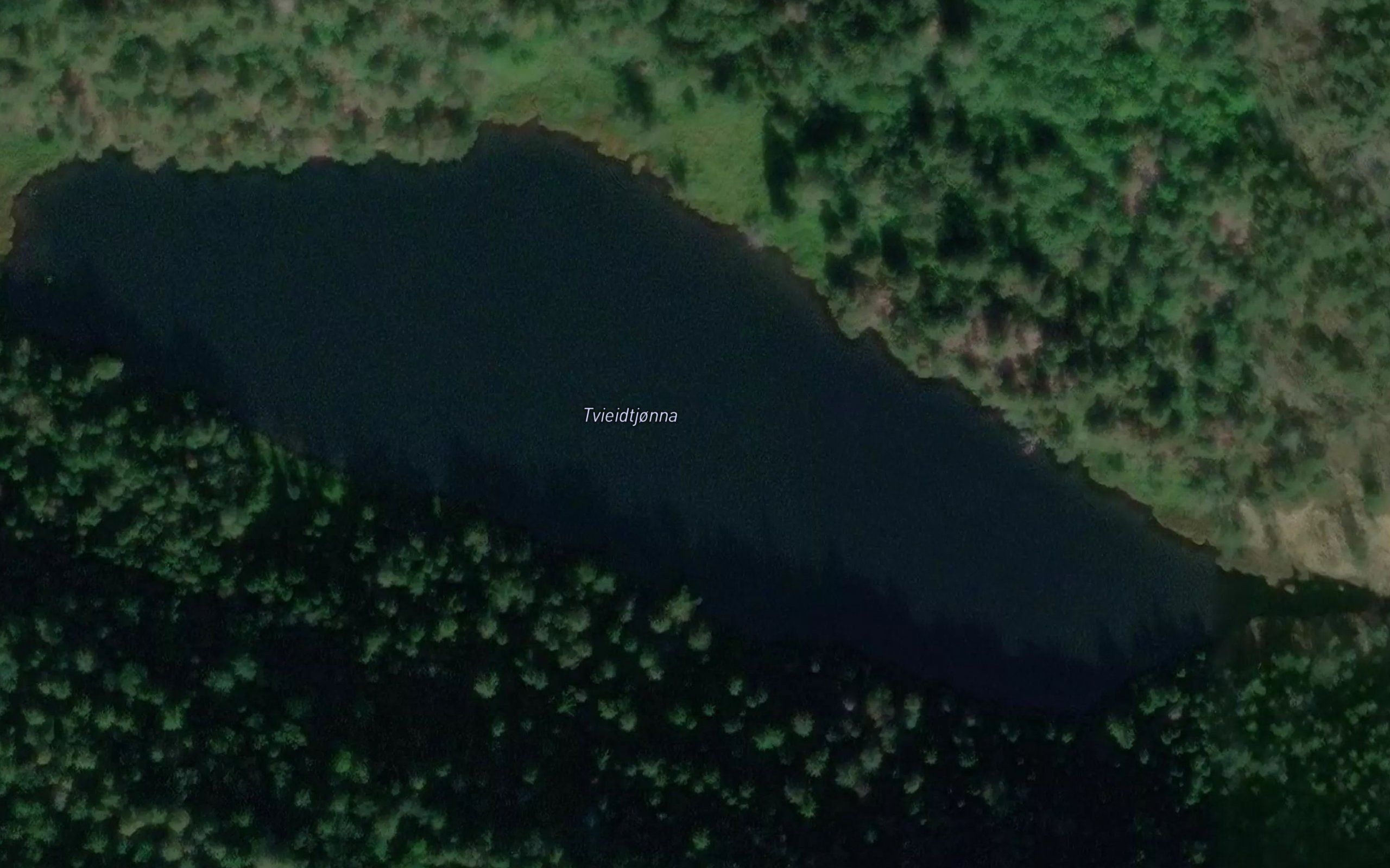 Tvieidtjonna