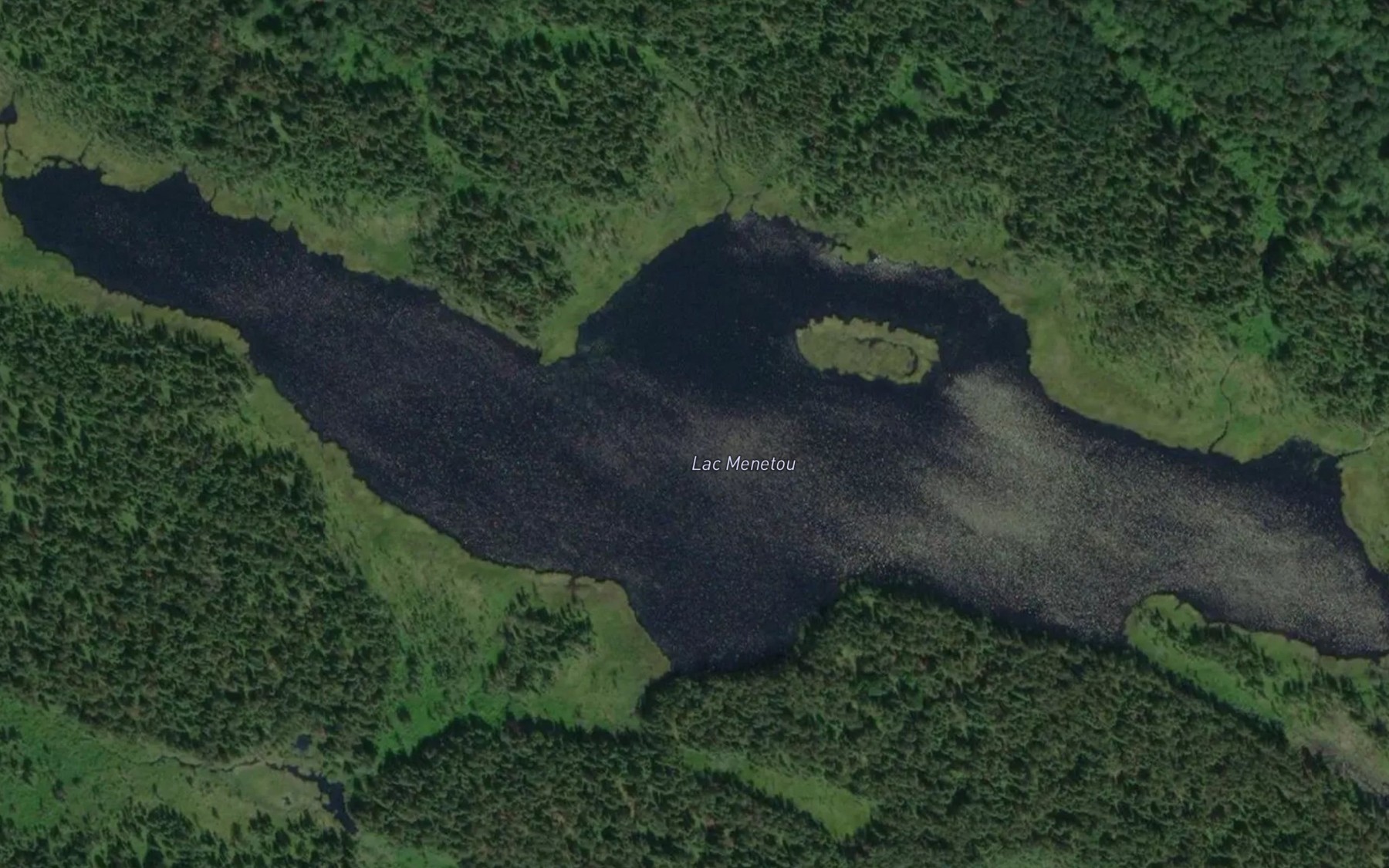 Satellite map of the Lac Menetou