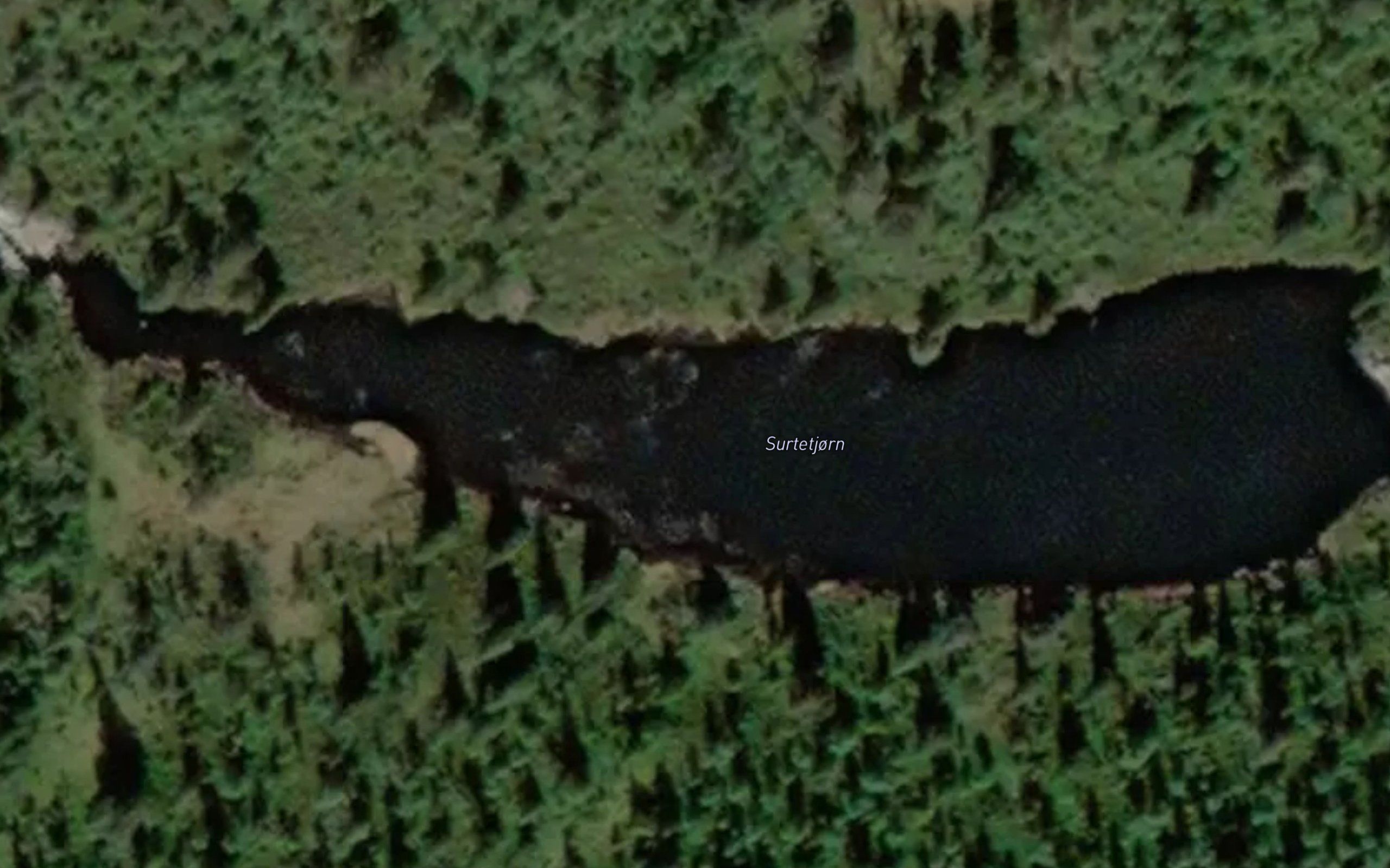 Surtetjonn