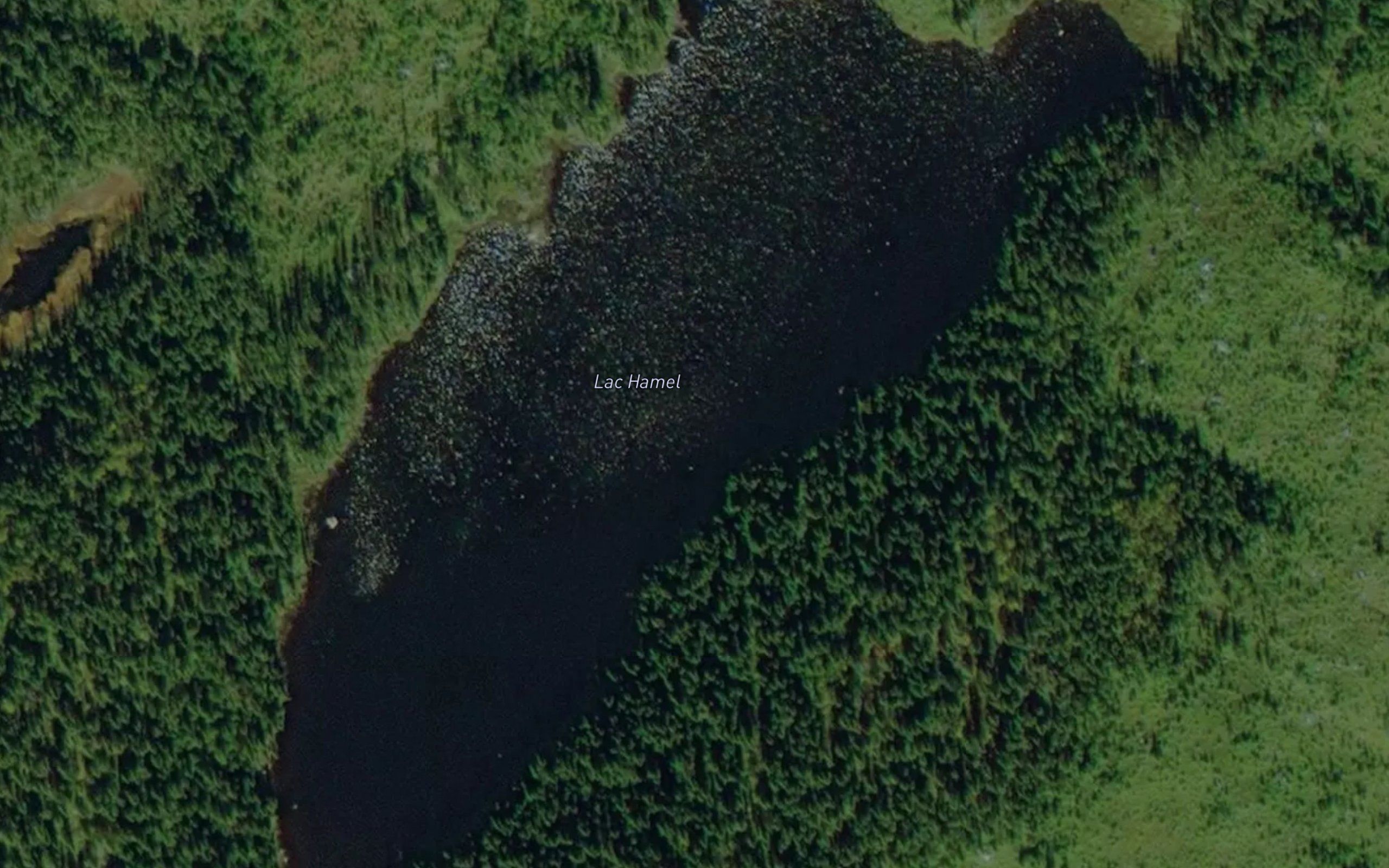 Lac Hamel