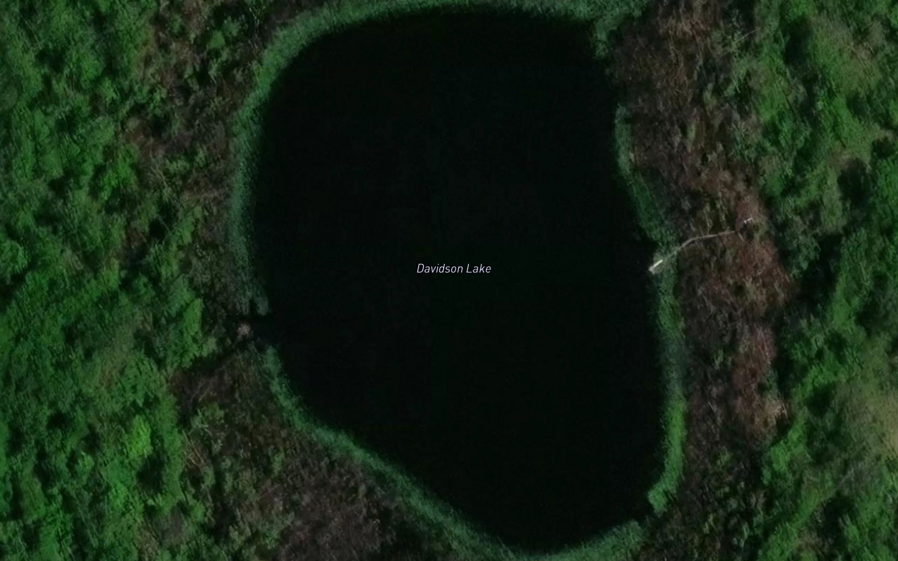 Satellite map of the Davidson Lake