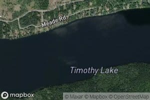 Timothy Lake
