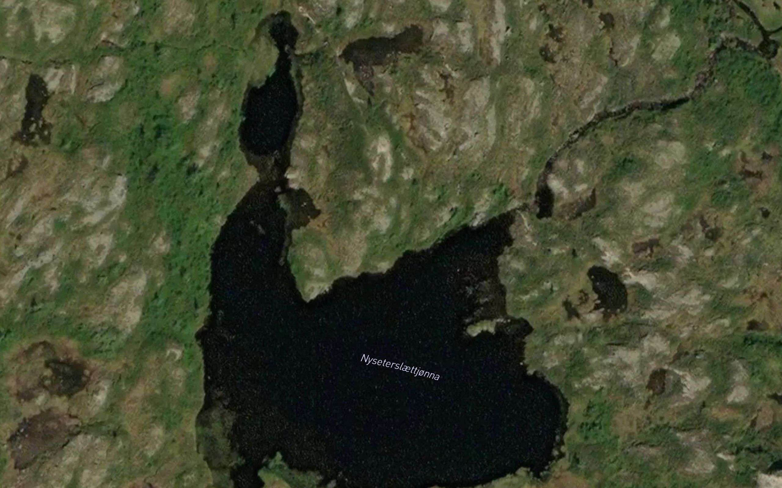 Nysaeterslettjorna