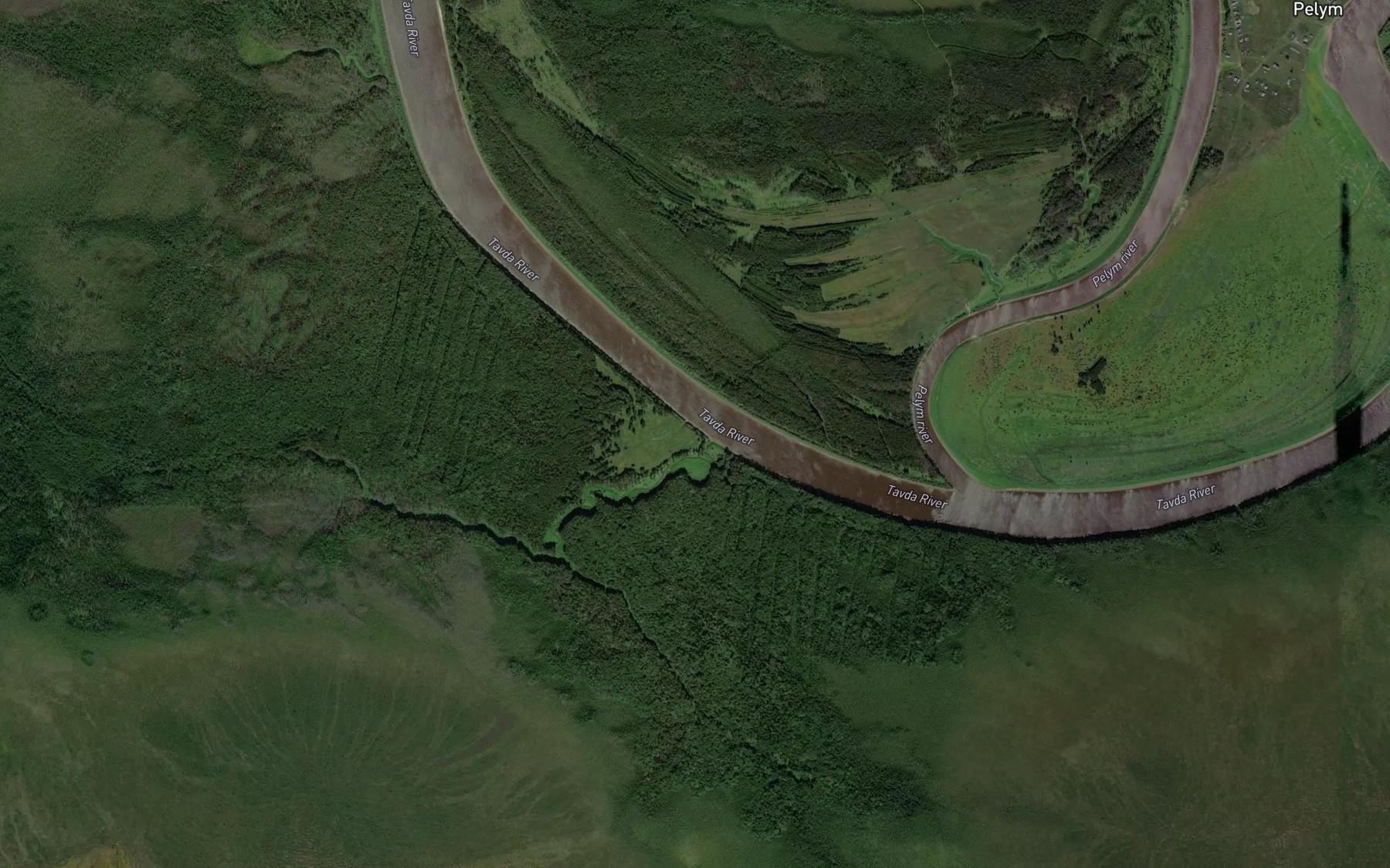 Satellite map of the Derevenskaya