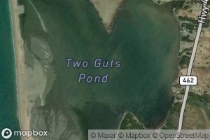 Satellite map of the Two Guts Pond