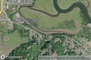 Ellis Slough
