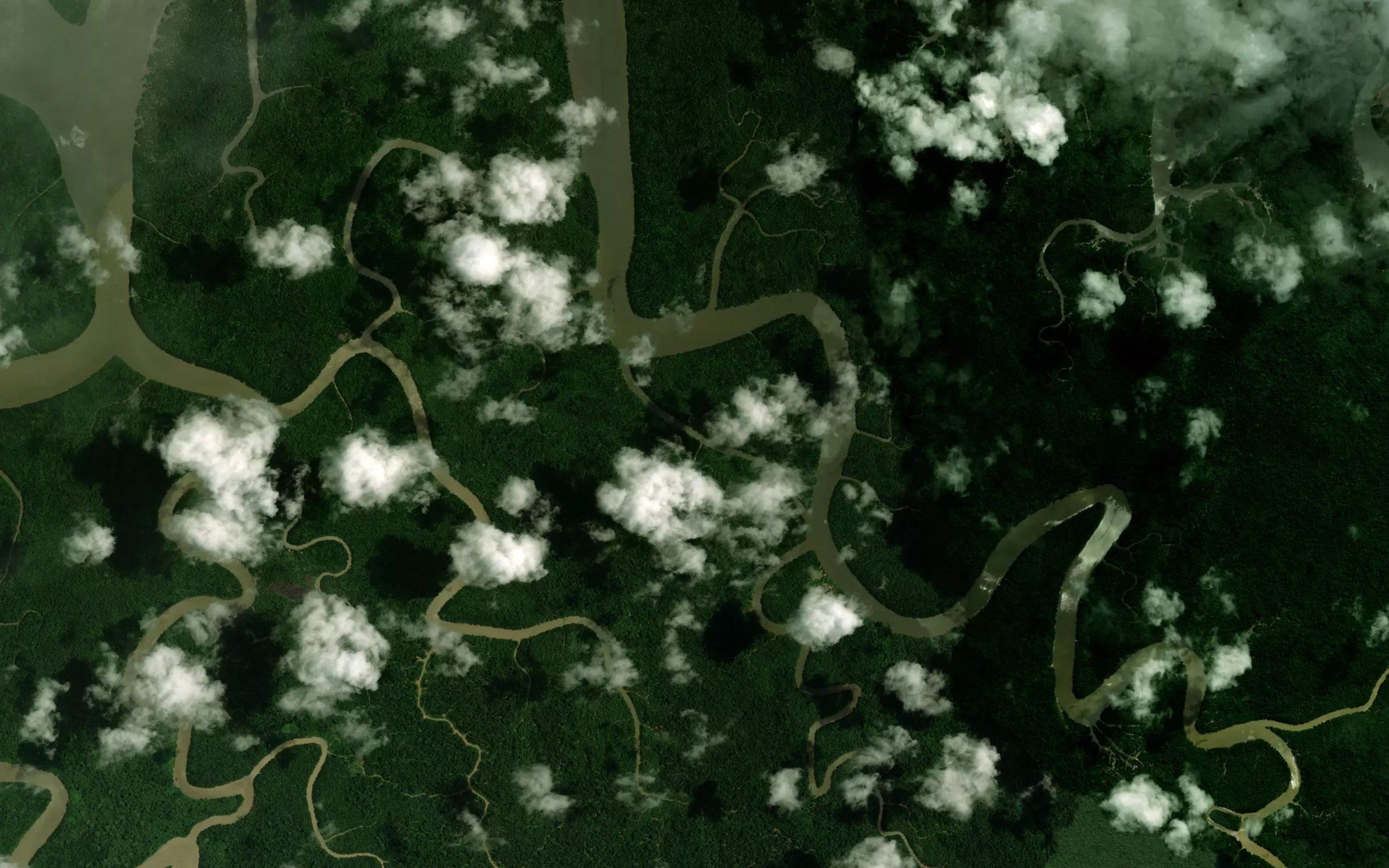 Sungai Birdua