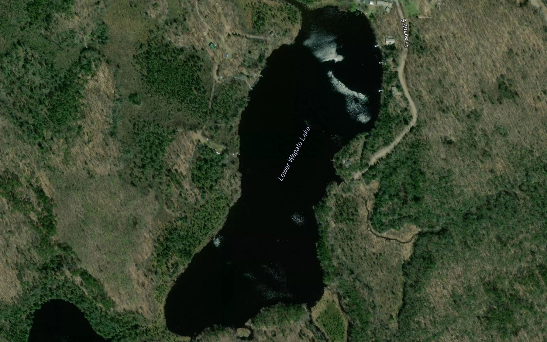 Satellite map of the Lower Wapato Lake