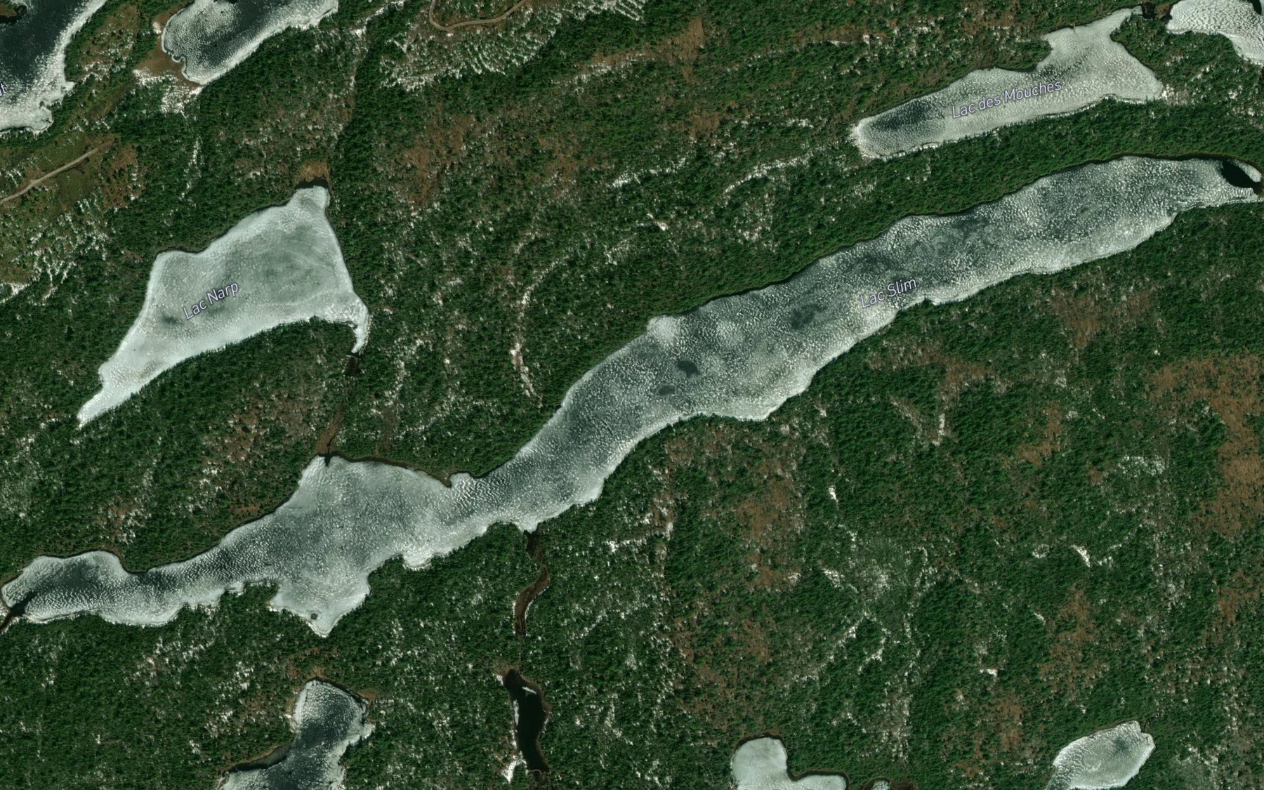 Satellite map of the Lac Slim