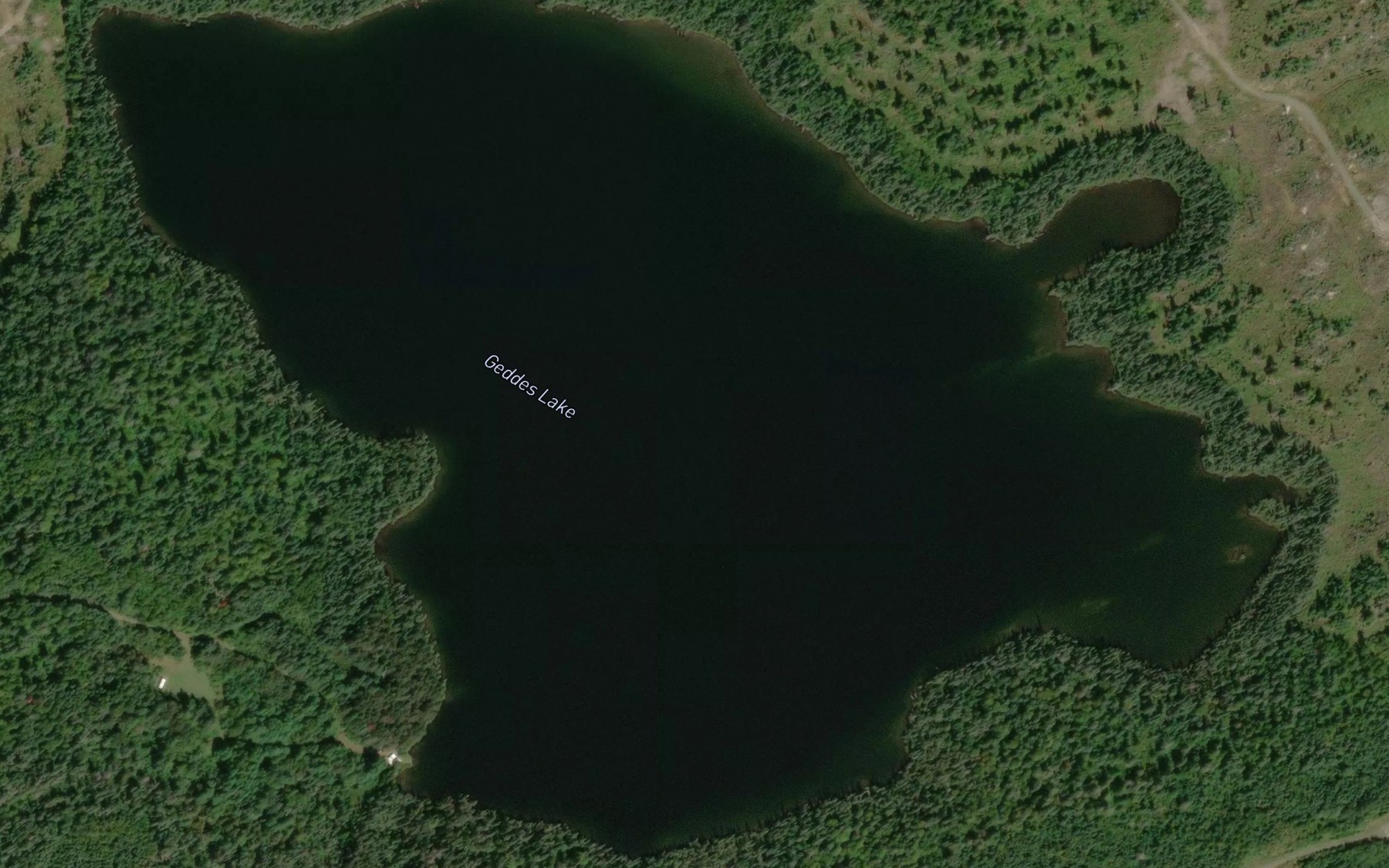 Satellite map of the Geddes Lake