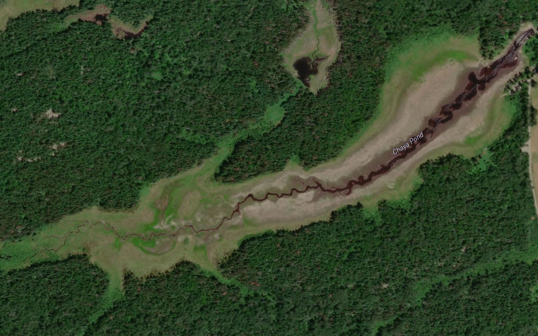 Satellite map of the Chaya Pond