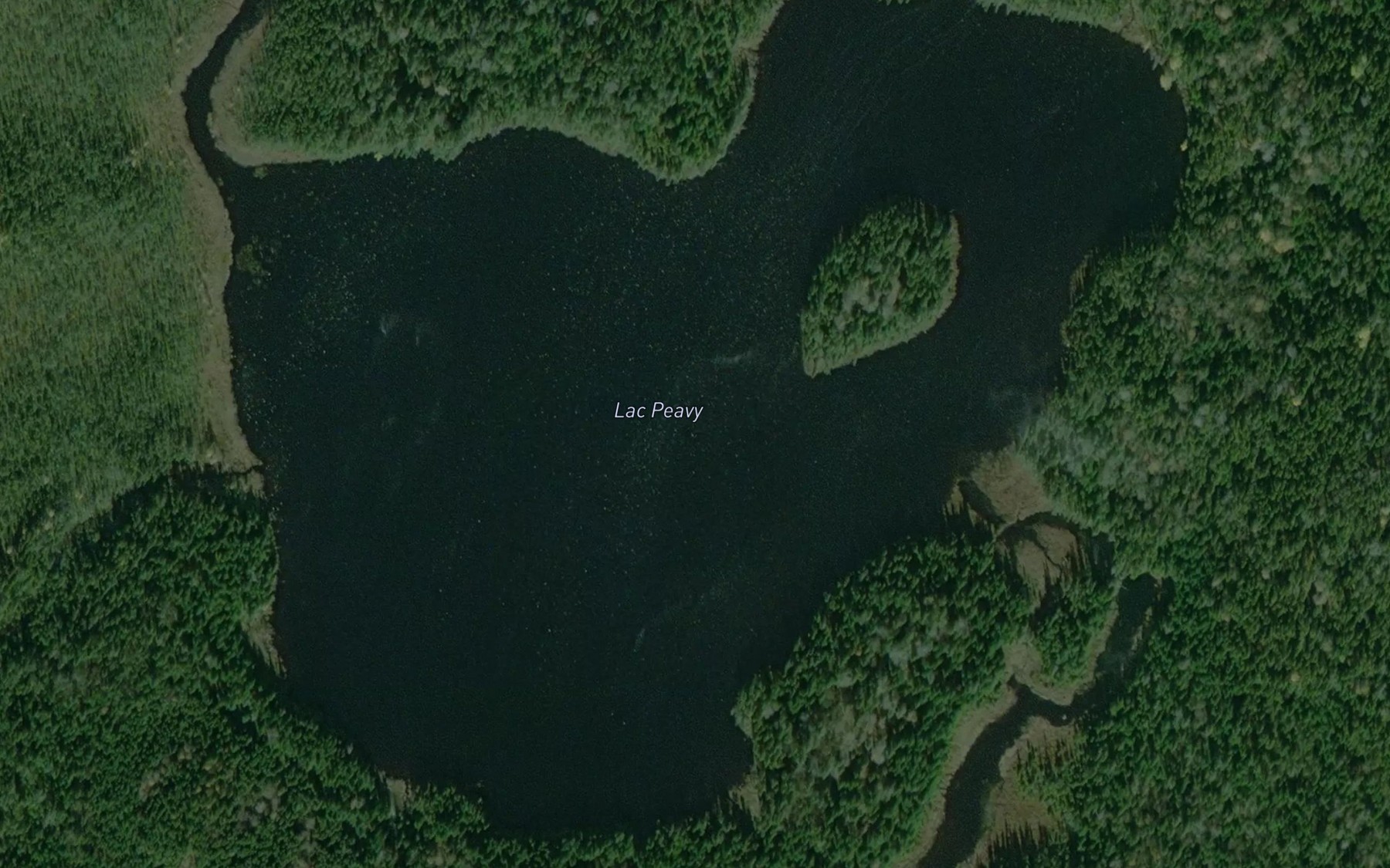 Satellite map of the Lac Peavy
