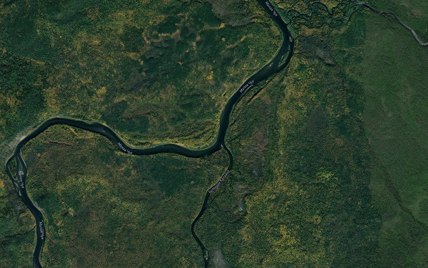 Satellite map of the Bol'shaya Kalayka