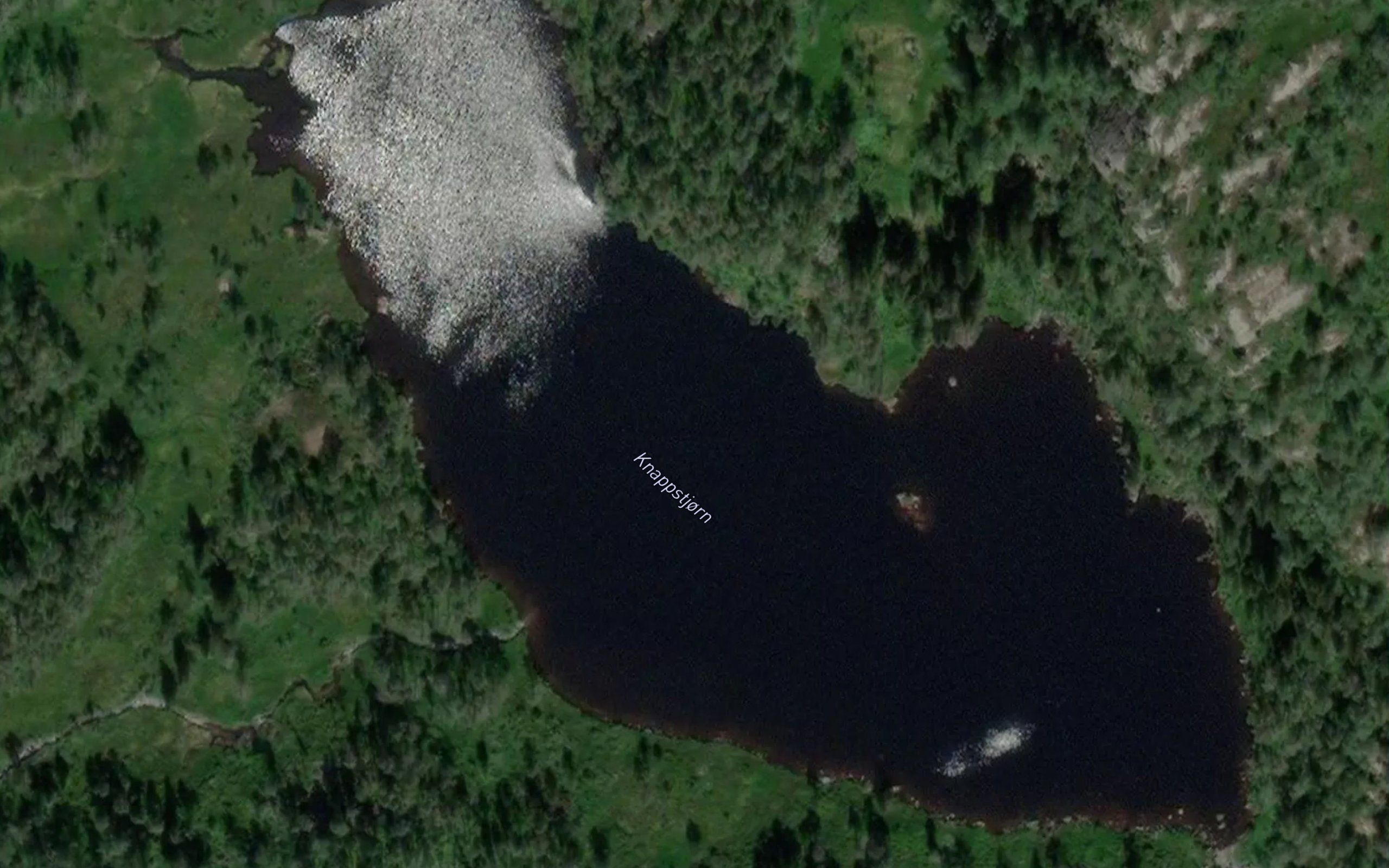 Knapptjorn