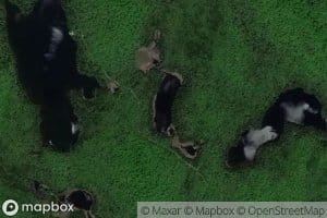 Lac du Chat