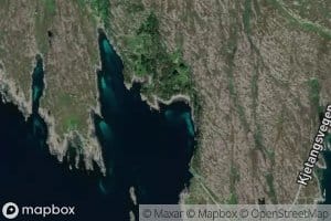 Instevika
