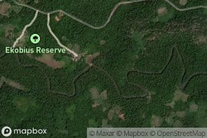 Cano Barranco Colorado