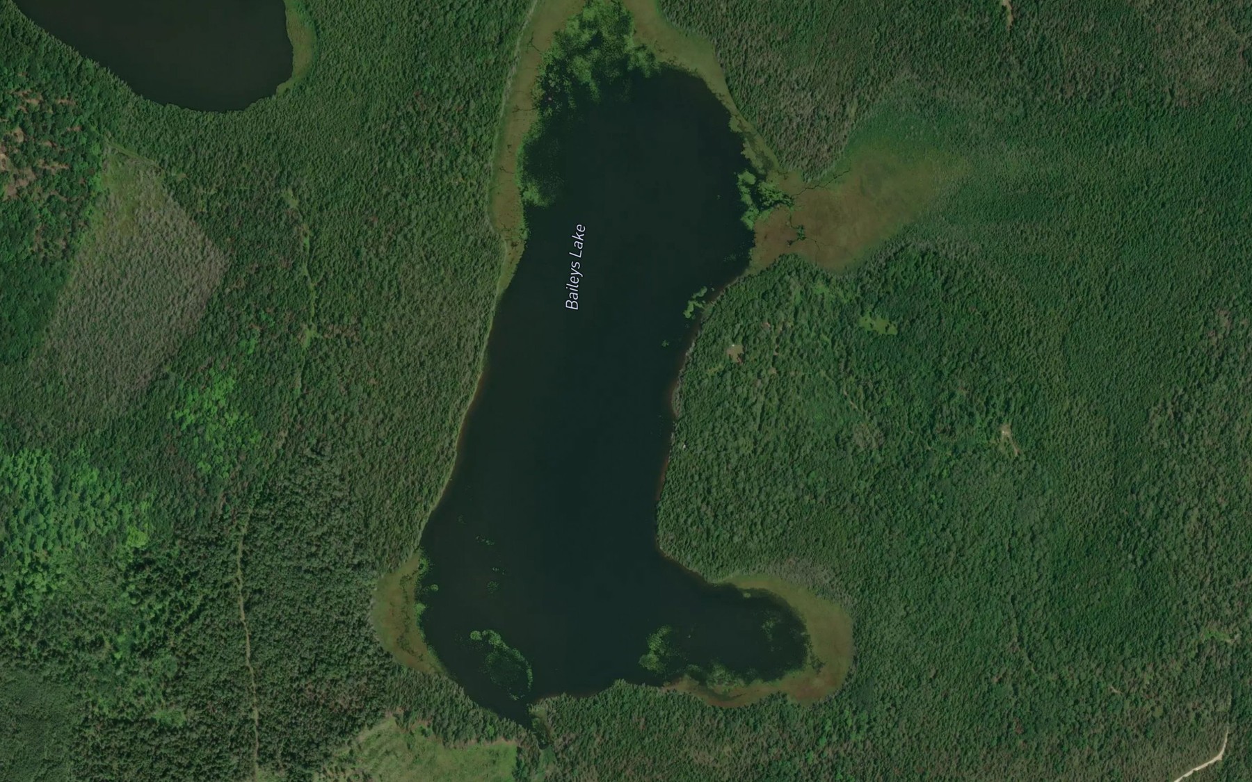 Satellite map of the Baileys Lake