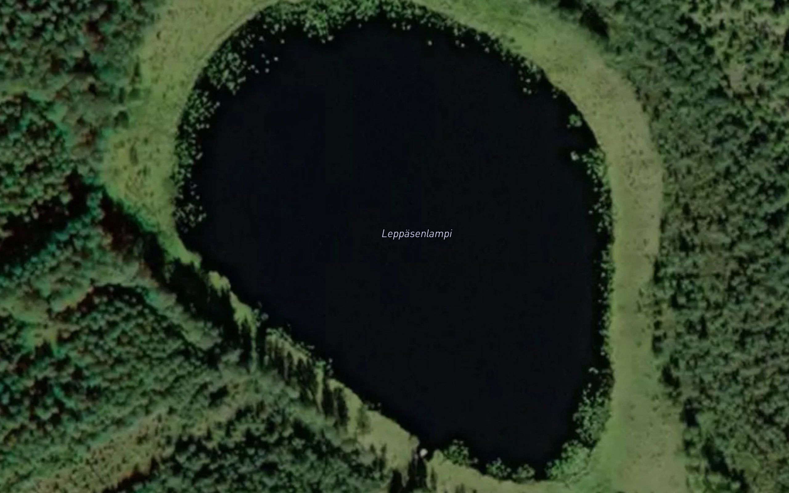 Leppasenlampi