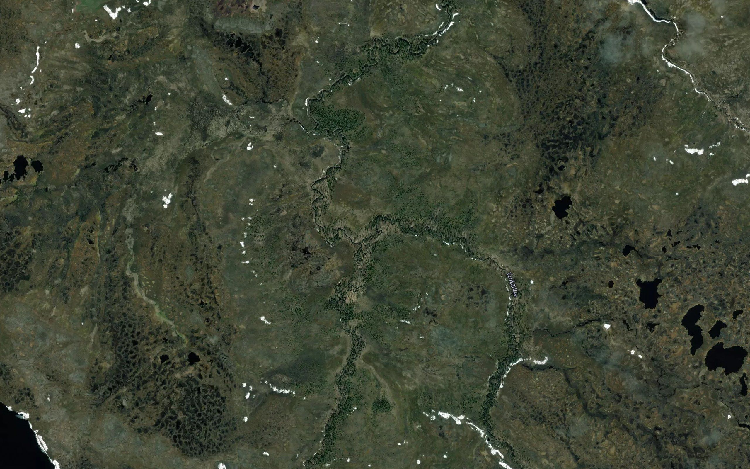 Koyditsa