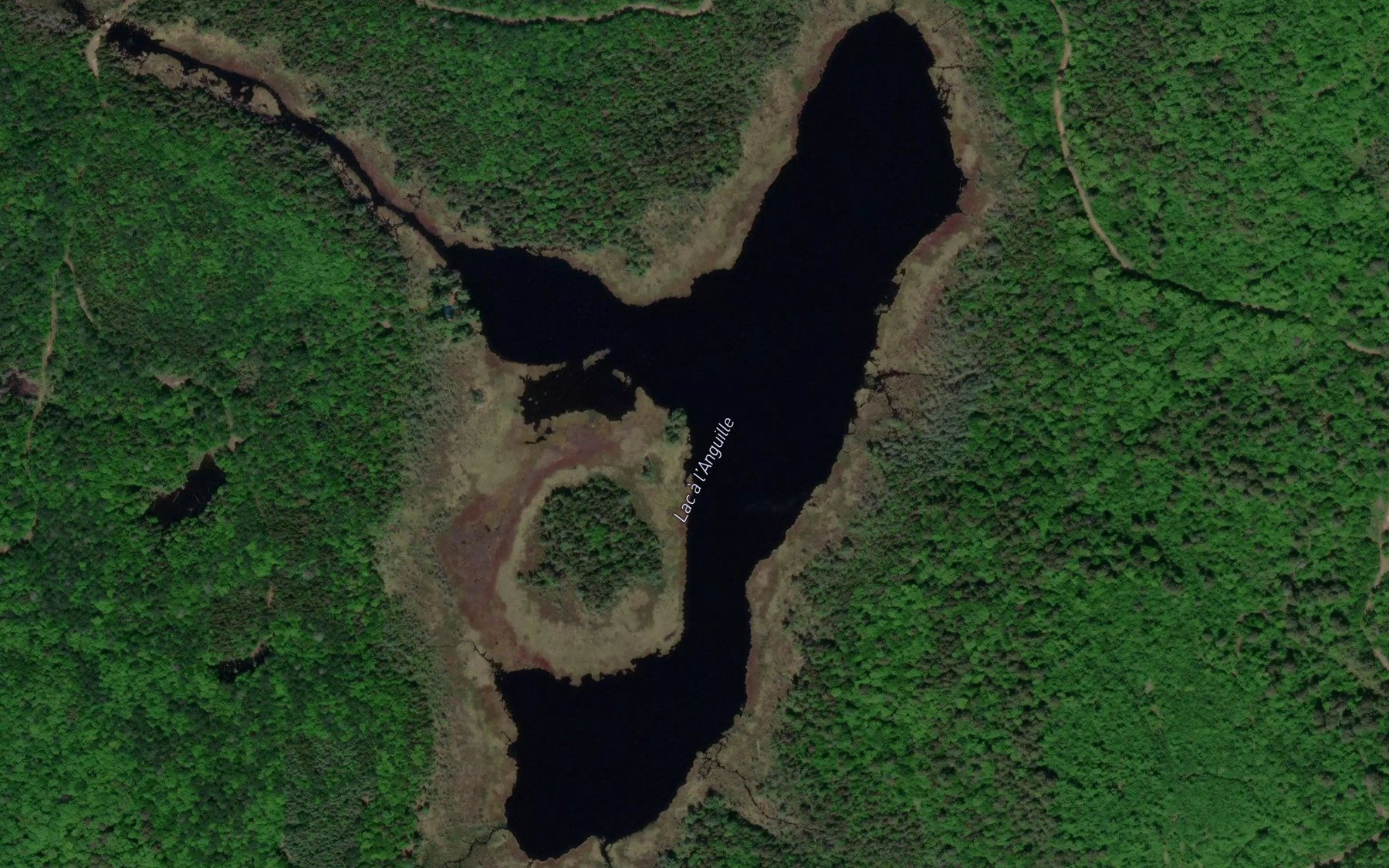 Satellite map of the Lac a l'Anguille
