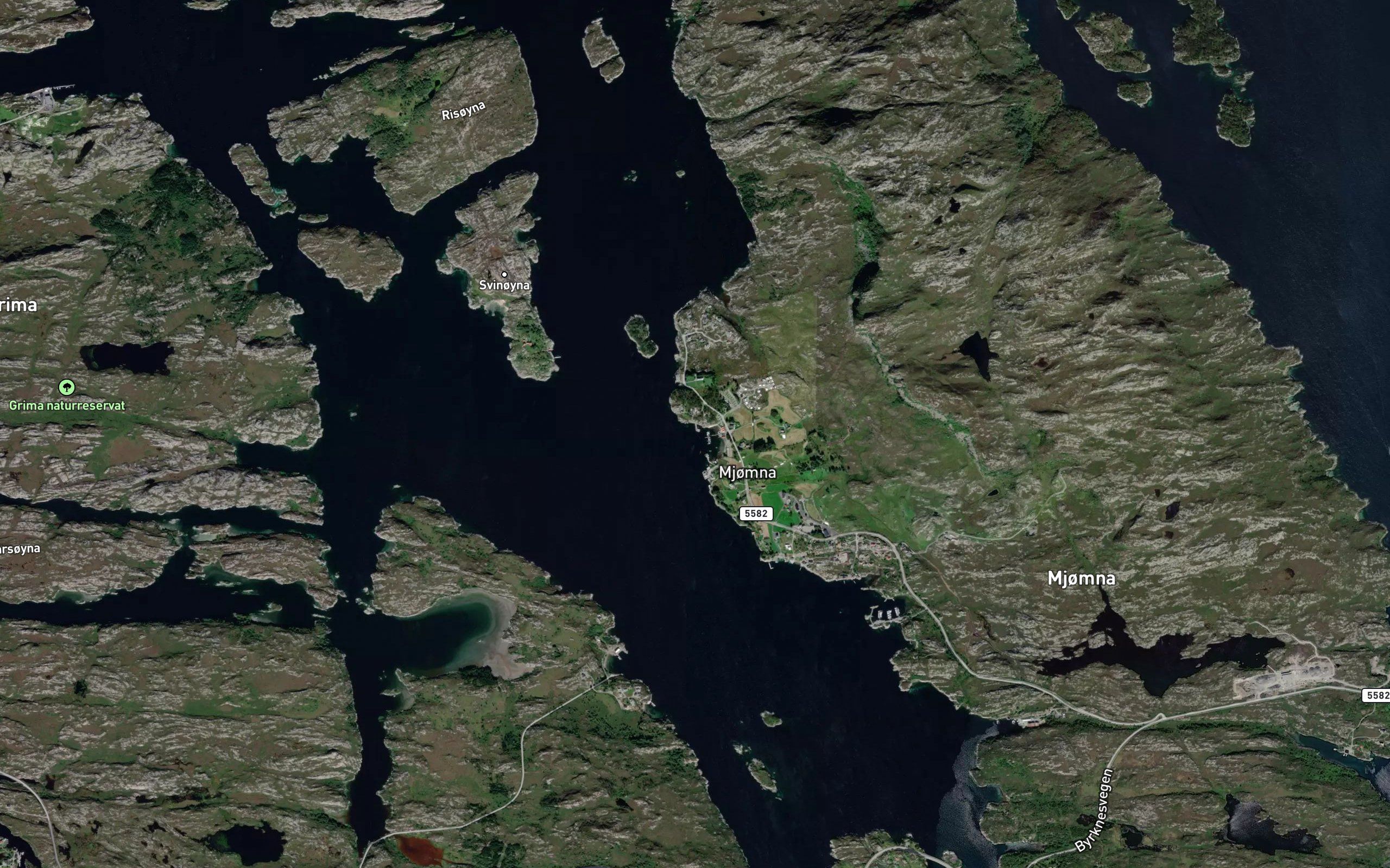 Nesevika