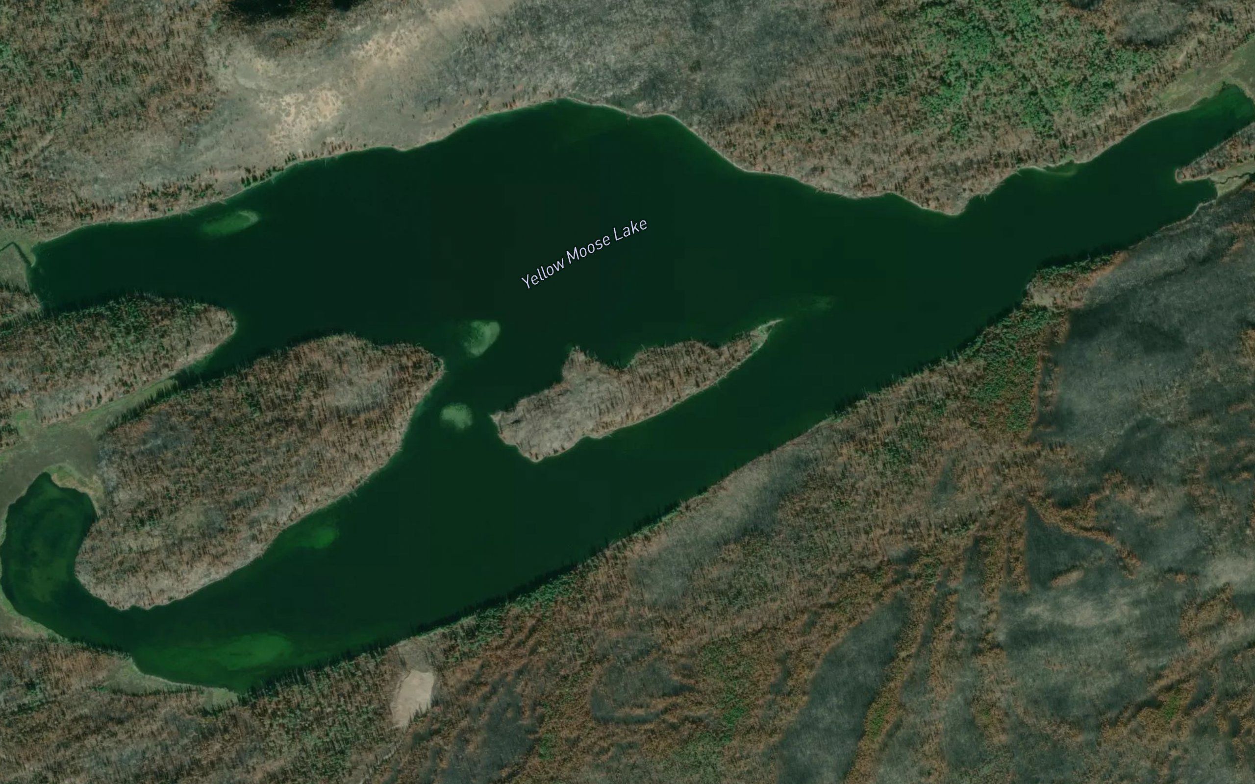 Yellow Moose Lake