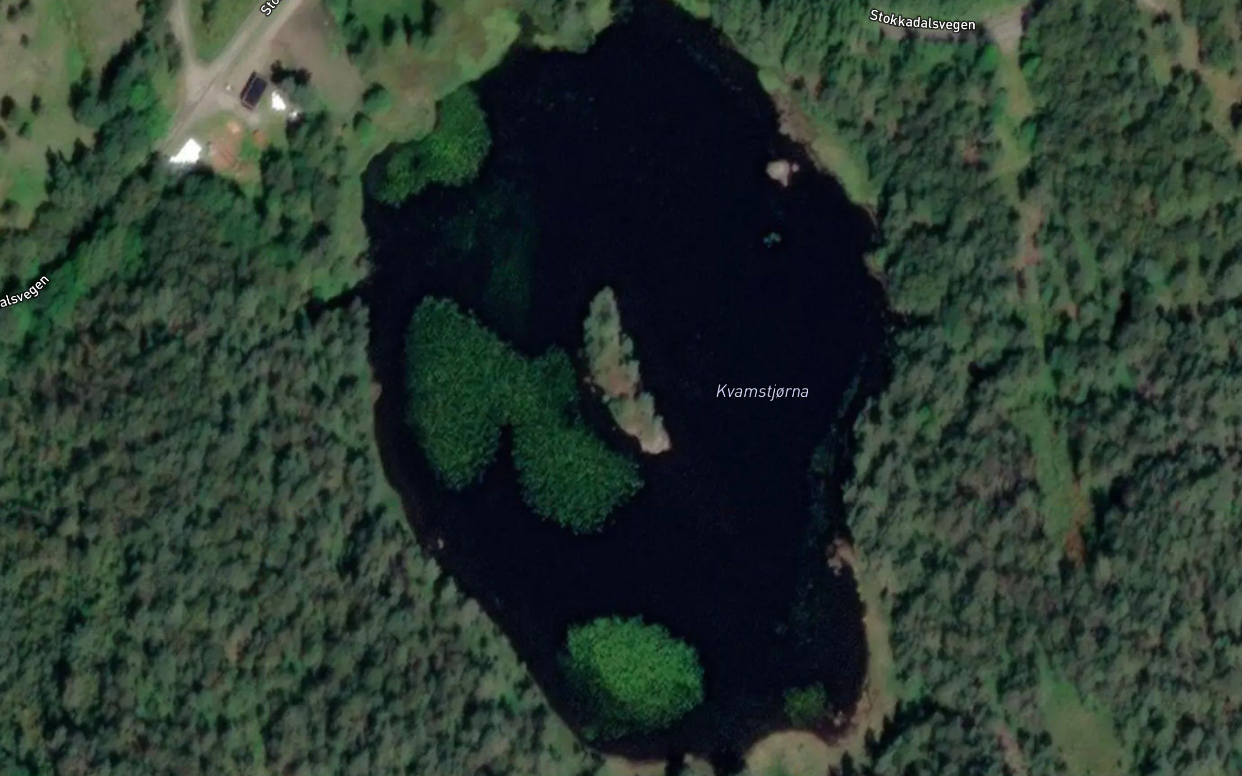 Kvamstjorna