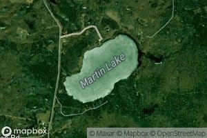 Martin Lake