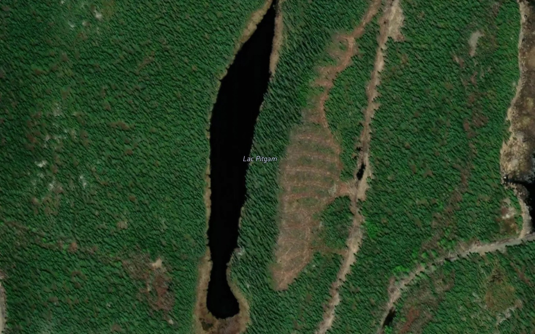 Satellite map of the Lac Pitgam