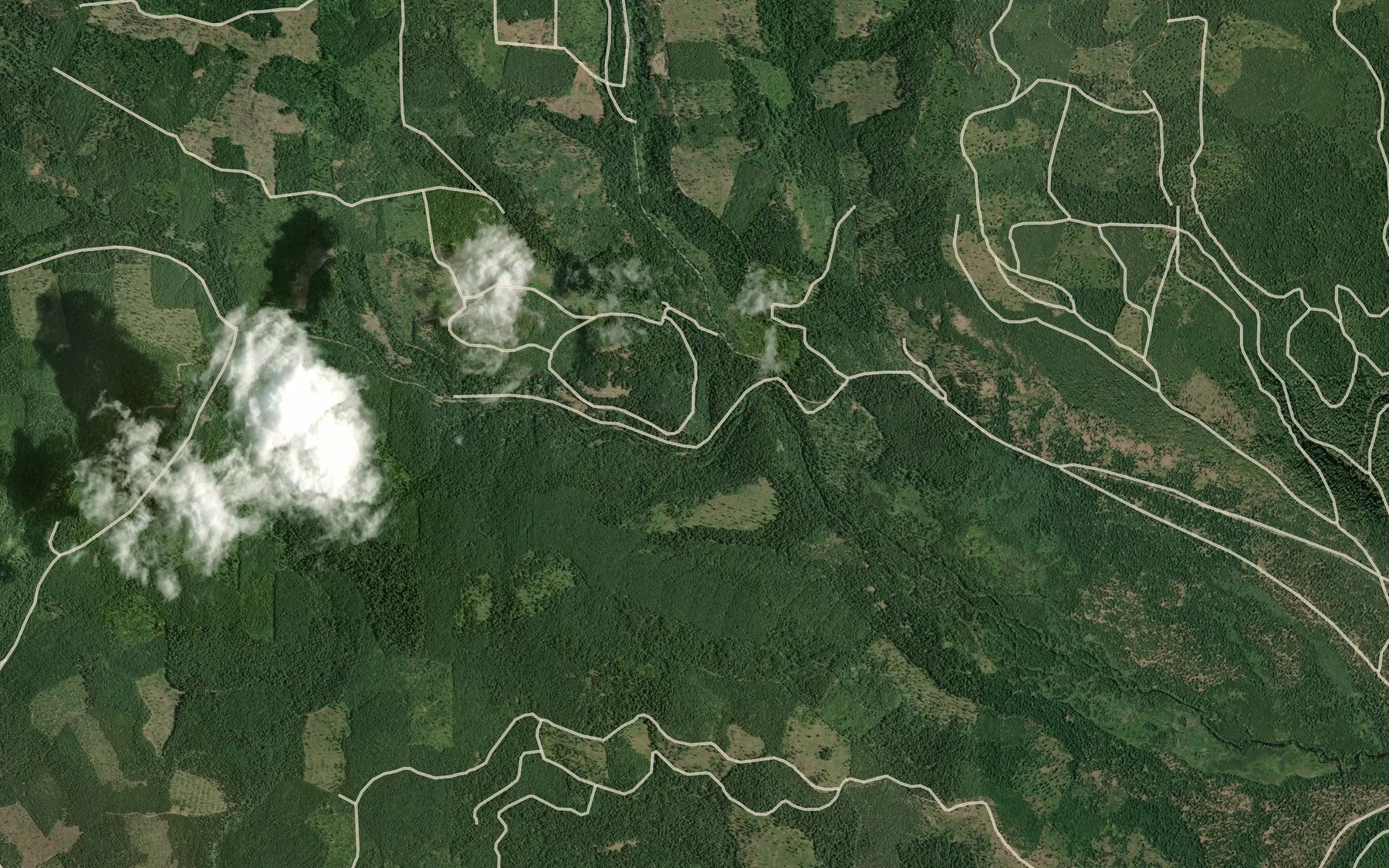 Satellite map of the Bunchgrass Creek