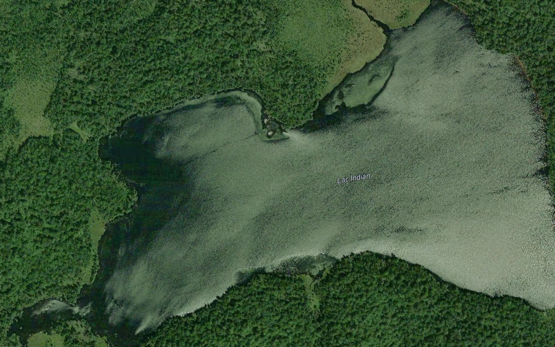 Satellite map of the Lac Indian