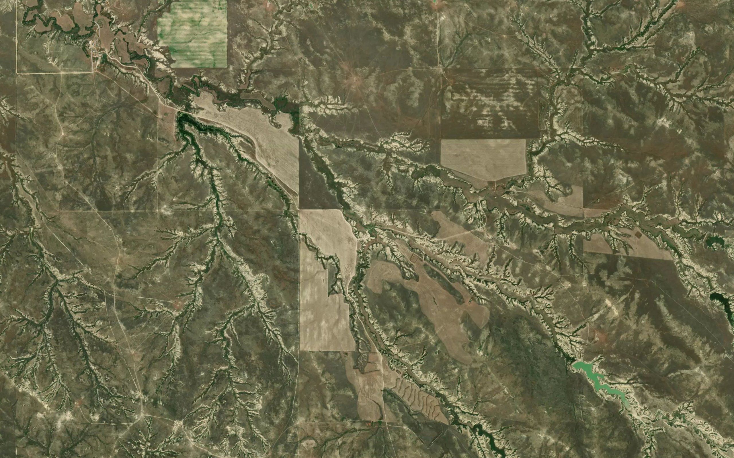 South Fork Timber Creek